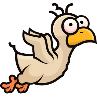 Maza vista – Chicken Shoot