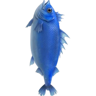 Zilā zivs – Ice Fish