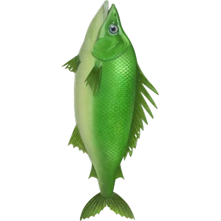 Zaļā zivs – Ice Fish