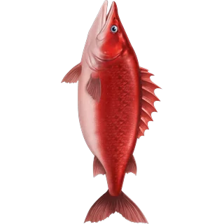 Sarkanā zivs – Ice Fish