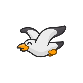 Kaija – Pengu Sport